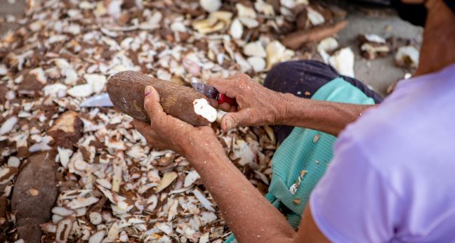 Apa Hubungan Tepung Singkong dan Pemadaman Api?